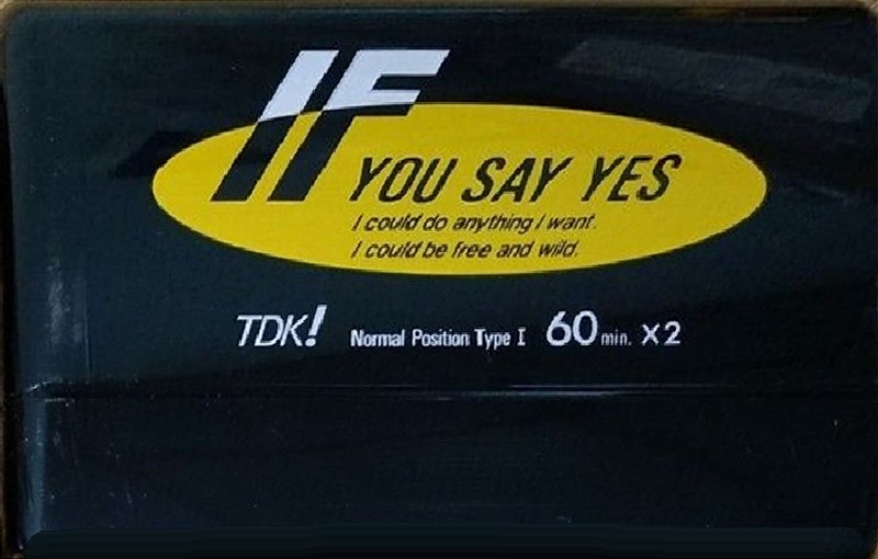 2 pack TDK IF 60 "IF-60B2" Type I Normal 1987 Japan