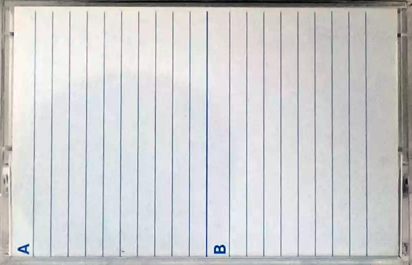 Compact Cassette Sony FN 60 Type I Normal 1985 North America