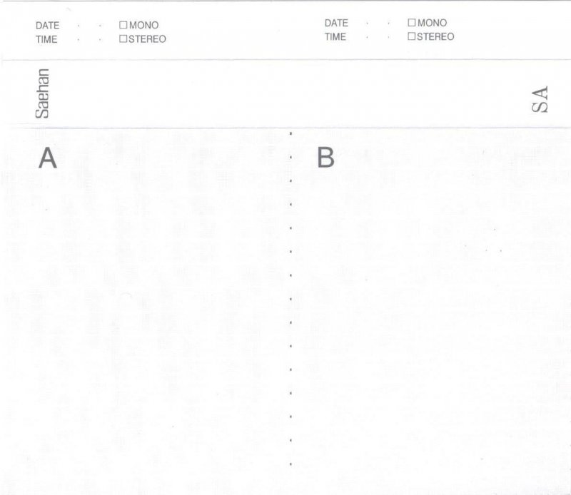 Compact Cassette Saehan SA 120 Type I Normal 1994 Europe