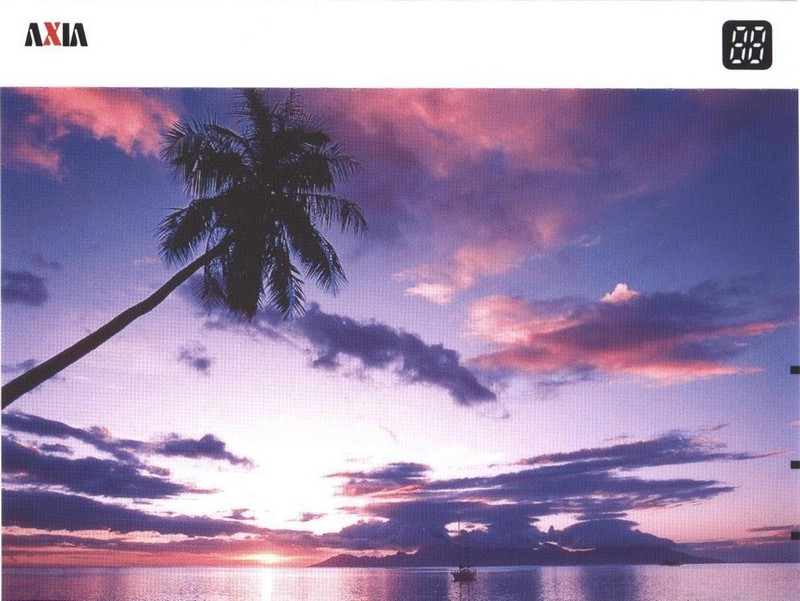 Compact Cassette AXIA PS-I / PS-1 30 "PS1L 30" Type I Normal 2000 Japan