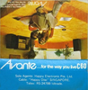 Compact Cassette Avante 60 Type I Normal Singapore